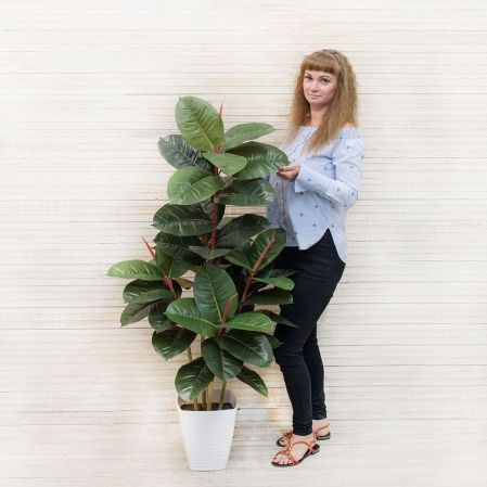 140/5К/411(Х)(Fix) Фикус Эластика искусственный h140см в интерьерном кашпо
