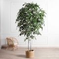 240/РН/12М-1(з)(F) Береза искусственная 2 ствола h240см