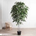 240/РН/12М-1(з)(F) Береза искусственная 2 ствола h240см
