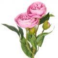 7141/0443-4/1Р Роза пионовидная искусственная, 2 головы, 2 бутона, h46см, розовая