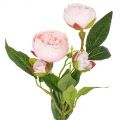 7141/0443-4/5Р Роза пионовидная искусственная, 2 головы, 2 бутона, h46см, светло-розовая