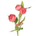 7141/0443-9/1Р Ранункулюс искусственный, 3 головы, 2 бутона, h56см, розовый