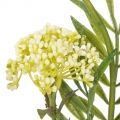 7141/0443-04/19Р Ветка цветущая искусственная, 5 соцветий, h53см, бело-зелен.