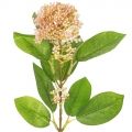 7141/0443-06/16Р Калина цветущая искусственная ветка, h53см, светло-сиренев.