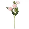 7141/0443-8/5Р Роза пионовидная искусственная, 3 головы, h42см, светло-розов.