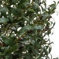 235/О/465(Fix) Оливковое дерево искусственное с плодами, h235см