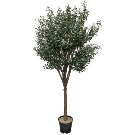 250/О/465 Оливковое дерево искусственное с плодами h250см
