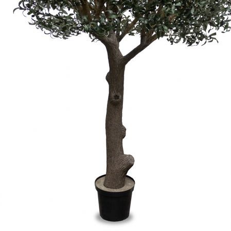 300разб/465(Fix) Оливковое дерево Премиум разборное h300см(h160см от пола до начала кроны)