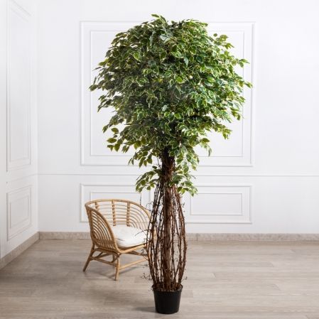 240/ССТК/466(Пр)(F) Фикус Бенджамина искусственный h240см