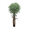 240/ССТК/466 Фикус Бенджамина искус h240см,d130см,20кг