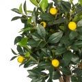 140/РН/20М Дерево искусственное Лимон с плодами h140см