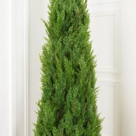 Т250/Э/201(Пр)(FixK)(F) Туя искусственная конус Элеганс h250см