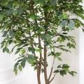 240/РН/34(з) Фикус искусственный 2 ствола, h240см