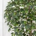 240/РН/34(з) Фикус искусственный 2 ствола, h240см