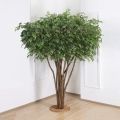 250/РН/34-4(з)(Пр) Фикус искусственный h250см (латекс), d240x140см на основании d55см