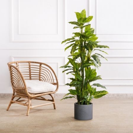 150/К/4779(F) Диффенбахия искусственная куст h150см