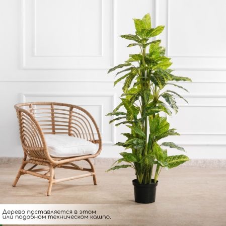 150/К/4779(F) Диффенбахия искусственная куст h150см