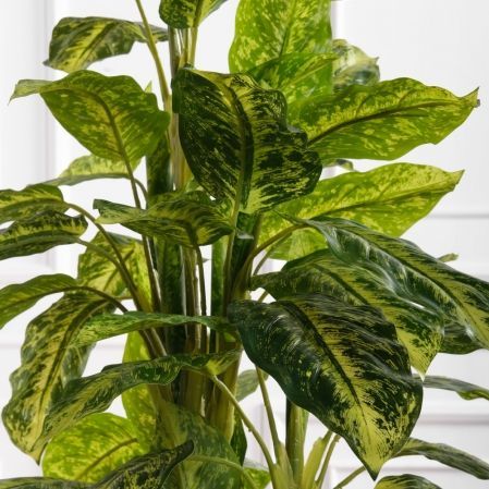 150/К/4779(F) Диффенбахия искусственная куст h150см