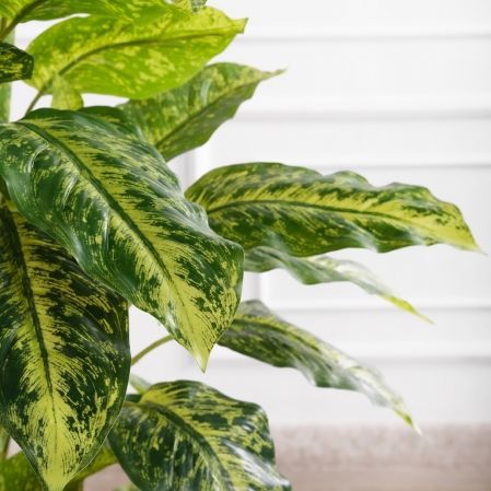 150/К/4779(F) Диффенбахия искусственная куст h150см