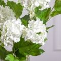 7141А/0443-14/23Р(F) Калина цветущая искусственная ветка 2 соцветия(латекс), h68см, белая
