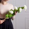 7141А/0443-14/23Р(F) Калина цветущая искусственная ветка 2 соцветия(латекс), h68см, белая