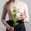 7141А/0443-14/23Р(F) Калина цветущая искусственная ветка 2 соцветия(латекс), h68см, белая
