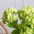 7141А/0443-15/9Р(F) Калина цветущая искусственная ветка 2 соцветия(латекс), h68см, зеленая