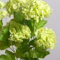 7141А/0443-15/9Р(F) Калина цветущая искусственная ветка 2 соцветия(латекс), h68см, зеленая