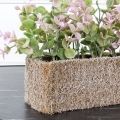 ТД050 Самшит искусственный розовый в кокосовом забеленном боксе 25х8х8см