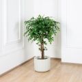 100/РН/34-1(з)(Пр) Фикус искусственный h100см (латекс) в декоративном кашпо d38, h30см