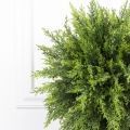 040/Ш/467 Туя искусственная шар Платинум h45см, d40см