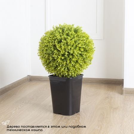 СШКТ035/98-1(з) Самшит искусственный топиарий d35см