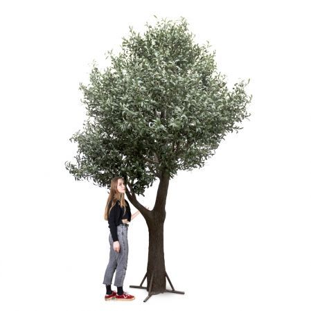 320разб/465(з)(Fix) Дерево искусственное Оливковое разборное Премиум FIX h320см