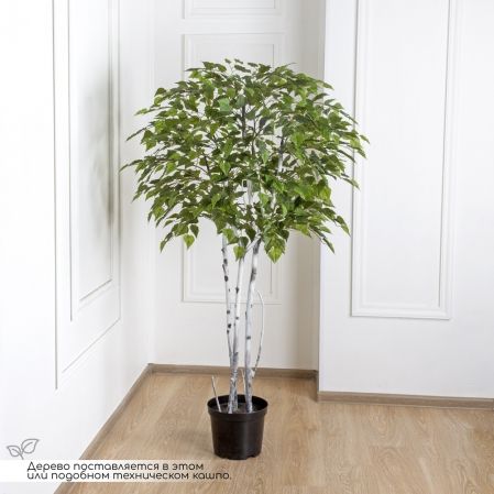 160/РН/490(з)(Пр) Береза искусственная h160см (латекс)