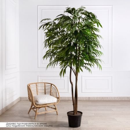 240/РН/219-1(з)(Пр)(F) Лонгифолия искусственная h240см (латекс)