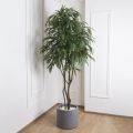 240/РН/219-1(з) Лонгифолия искусственная h240см (латекс) в кашпо, зеленая