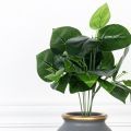 7143/А2785-101 (Sale) Сциндапсус искусственный куст 7 частей h39см (латекс), зеленый