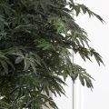 180/ССТК/400(з) Клён японский искусственный (латекс) h180см