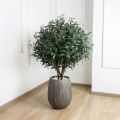 95/О/465(з) Оливковое дерево искусственное h95см для кашпо d32хh39см