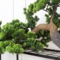 110МЕТ/ВЕТ/ДС/30(з) Ветка сосны бонсай искусственная L110см (ширина 85см)