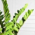 070/К/495(Х)(Fix)(F) Замиокулькас искусственный куст h70см