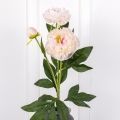 7141А/9120-08/20Р Пион искусственный 2 головы, 1 бутон, h75см, бело-розовый