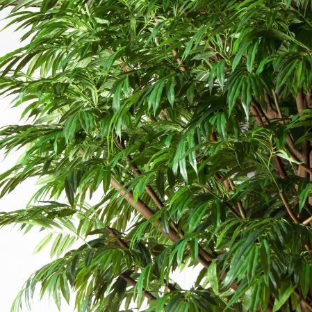 420/РН/Л/219(з)(Пр)(F) Лонгифолия искусственная h420см