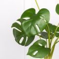 7143А/0033-11 Монстера искусственная куст 8 частей с корнями h46см (латекс)