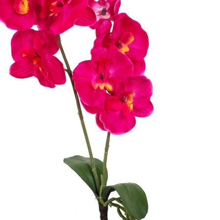 7141/9167-4/15А Орхидея с корнем и листом *2в;9г(малин)