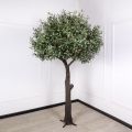 250Разб/465(Promo) Оливковое дерево искусственное разборное h250см