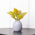 7143/0228-35 Калатея искусственная куст 10 листов h30см (24+6), зелено-желтый