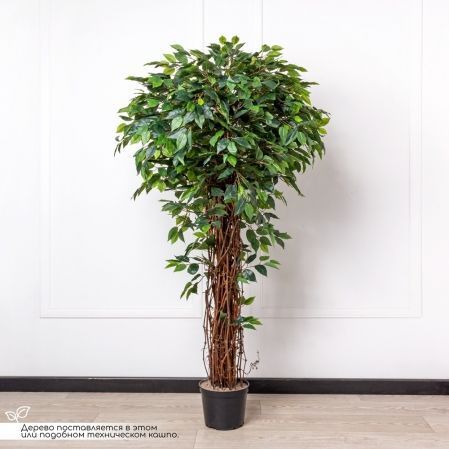 160/ССТК/ВП/34 Фикус искусственный h160см (латекс)