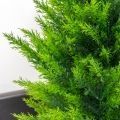 Т060/467-1(з)(Пр) Туя искусственная конус Платинум h60см, на основании