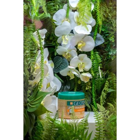 ВТ02 Витрина тропическая с орхидеями